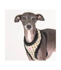 HA7670 Harnais Fourré En Tweed Lucia Noir Pinkaholic -Animaux Amour Promos Boutique ha7670 harnais fourre en tweed lucia noir pinkaholic 7