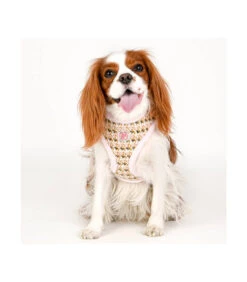 HA7670 Harnais Fourré En Tweed Lucia Rose Pinkaholic -Animaux Amour Promos Boutique ha7670 harnais fourre en tweed lucia rose pinkaholic 6