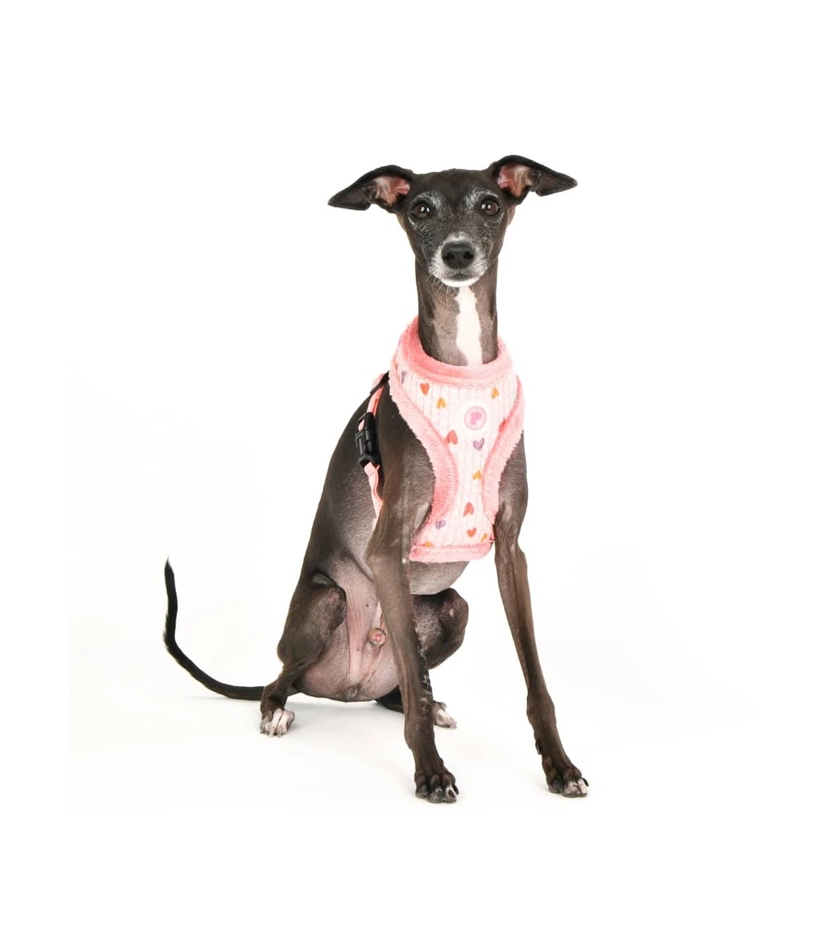 HA7672 Harnais Fourré En Tissu Coeur Merry Rose Pinkaholic 7 HA7672 Harnais Fourré En Tissu Coeur Merry Rose Pinkaholic – Image 7