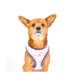 HA7672 Harnais Fourré En Tissu Coeur Merry Violet Pinkaholic -Animaux Amour Promos Boutique ha7672 harnais fourre en tissu coeur merry violet pinkaholic 6