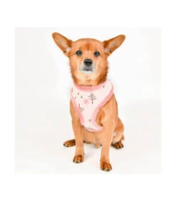 HA7678 Harnais Fourré En Tissu Motif De Noel Eira Rose Pinkaholic -Animaux Amour Promos Boutique ha7678 harnais fourre en tissu motif de noel eira rose pinkaholic 7