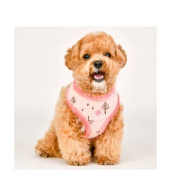 HA7678 Harnais Fourré En Tissu Motif De Noel Eira Rose Pinkaholic -Animaux Amour Promos Boutique ha7678 harnais fourre en tissu motif de noel eira rose pinkaholic 8