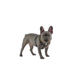 HA9345 Harnais Thermal Soft Harness Puppia Camo 7 HA9345 Harnais Thermal Soft Harness Puppia Camo -Animaux Amour Promos Boutique ha9345 harnais thermal soft harness puppia camo 3