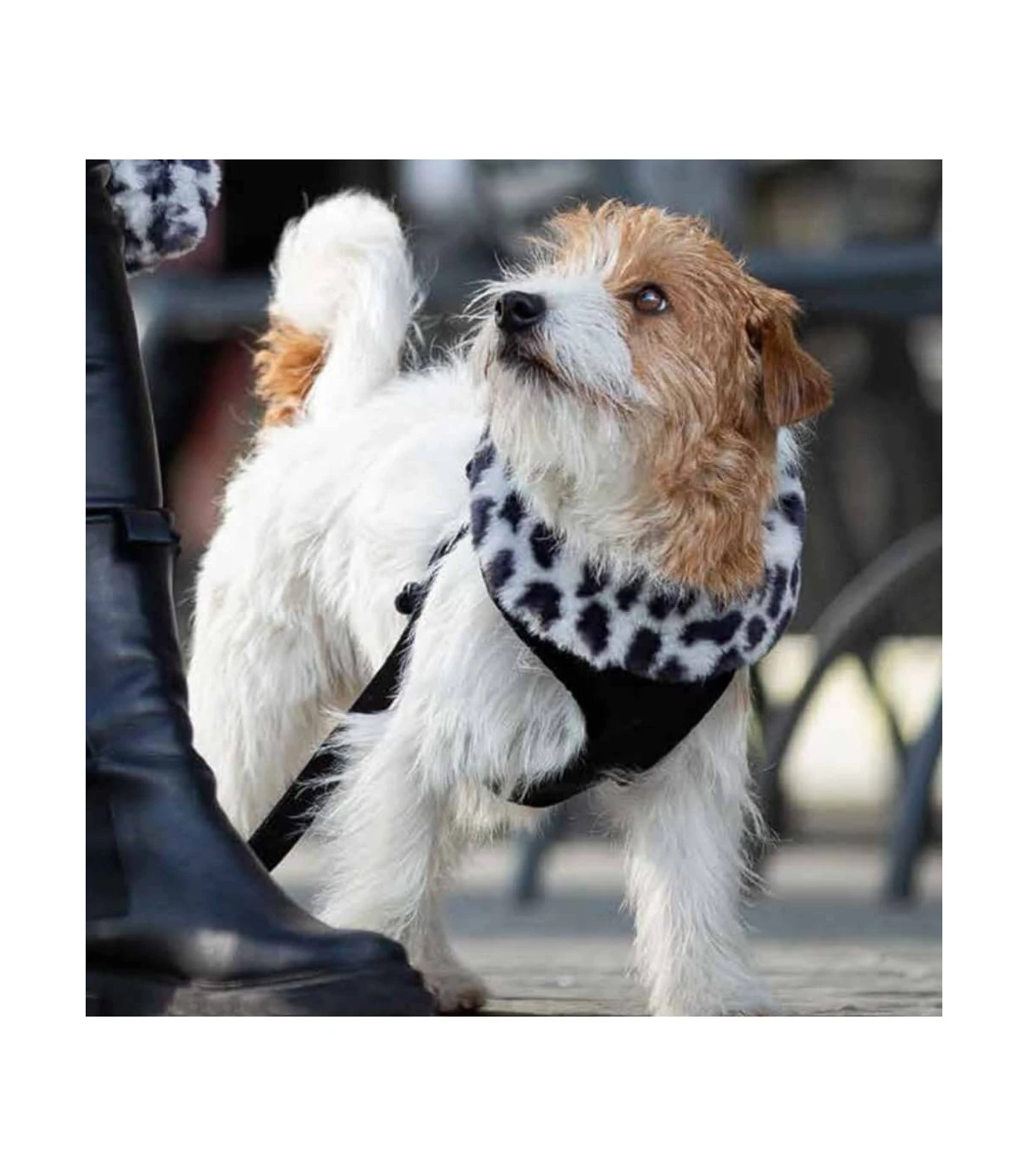 Harnais En Fausse Fourrure Léopard Marron Et Blanc Guépard Croci 2 Harnais En Fausse Fourrure Léopard Marron Et Blanc Guépard Croci – Image 2