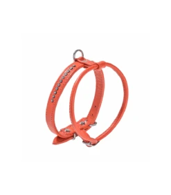 Harnais En Cuir Et Strass Orange éclat Bobby