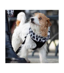 Harnais En Fausse Fourrure Léopard Noir Et Blanc Snow Croci