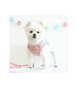 Harnais Laisse Intégrer Ourson Ultra Mignon Parisdog -Animaux Amour Promos Boutique harnais laisse integrer ourson ultra mignon parisdog 1 2