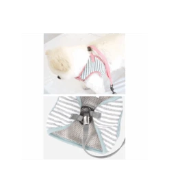 Harnais Laisse Intégrer Ourson Ultra Mignon Parisdog -Animaux Amour Promos Boutique harnais laisse integrer ourson ultra mignon parisdog 1 3