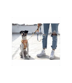 Harnais Réversible Glace Dukier 6 Harnais Réversible Glace Dukier -Animaux Amour Promos Boutique harnais reversible glace dukier 2