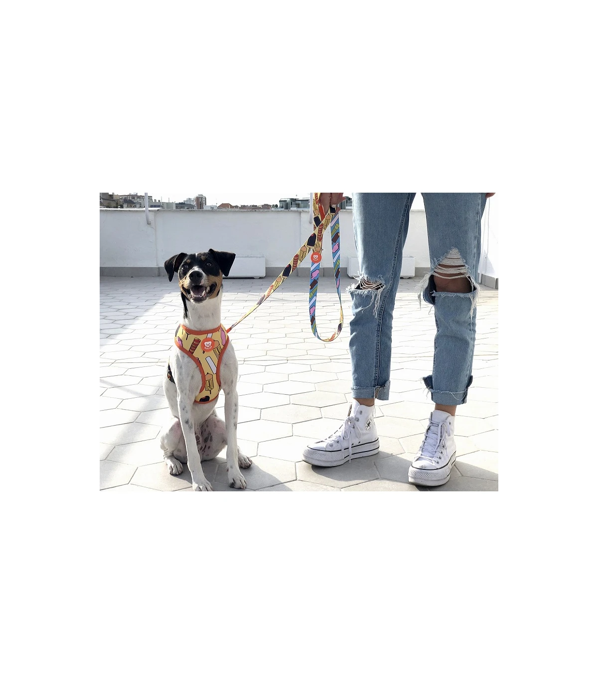 Harnais Réversible Glace Dukier 3 Harnais Réversible Glace Dukier – Image 3