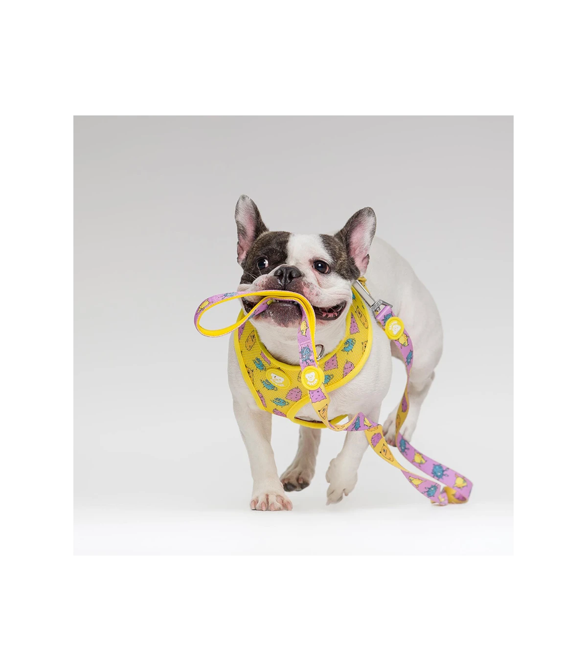 Harnais Réversible Microbes Dukier 2 Harnais Réversible Microbes Dukier – Image 2