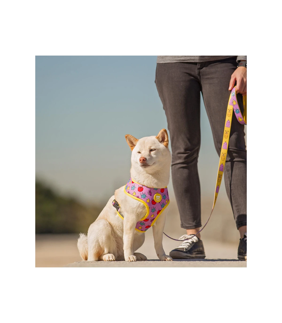 Harnais Réversible Microbes Dukier 3 Harnais Réversible Microbes Dukier – Image 3