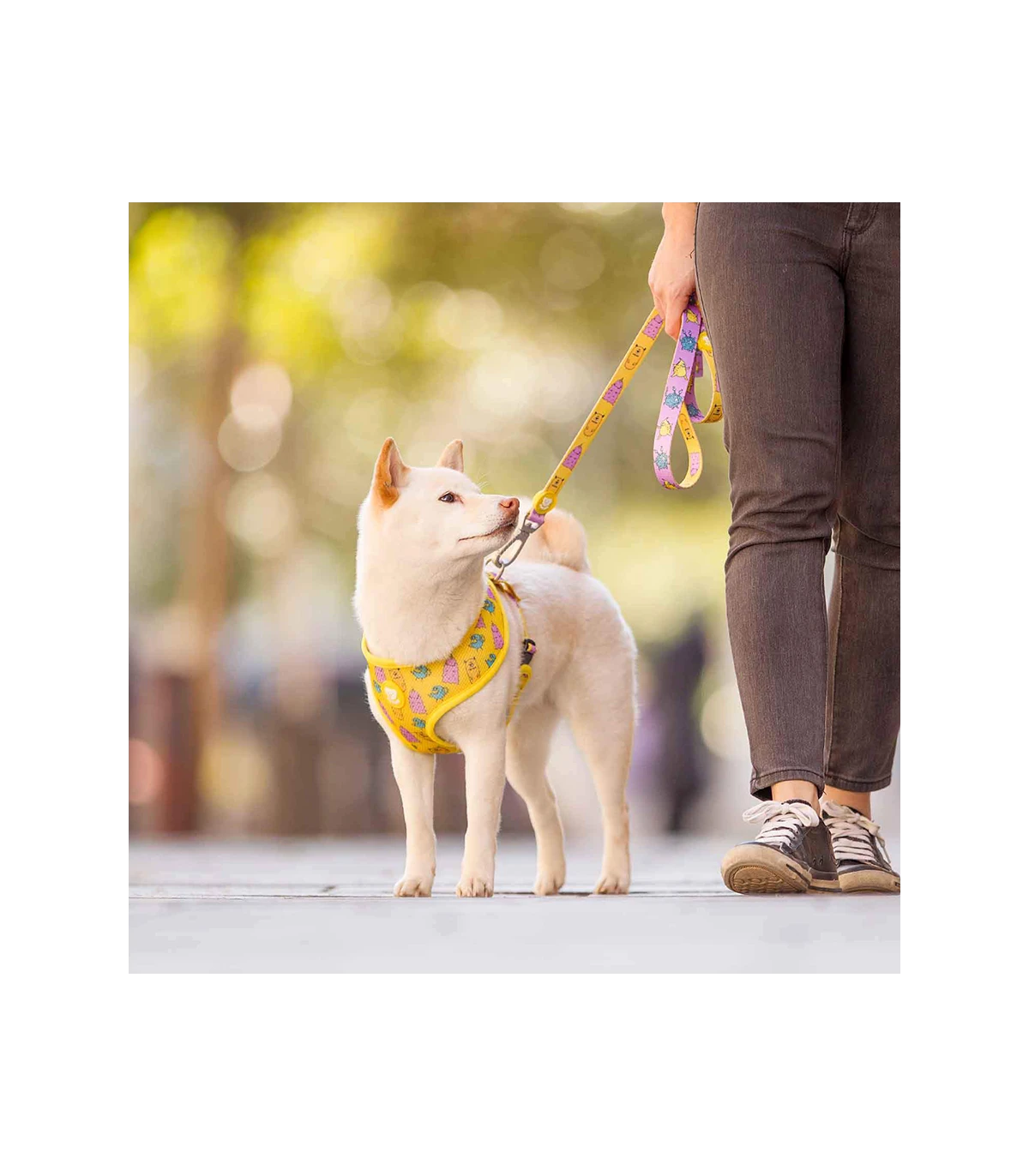 Harnais Réversible Microbes Dukier 4 Harnais Réversible Microbes Dukier – Image 4