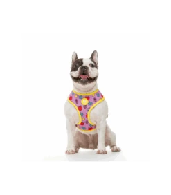 Harnais Réversible Microbes Dukier 9 Harnais Réversible Microbes Dukier -Animaux Amour Promos Boutique harnais reversible microbes dukier 4