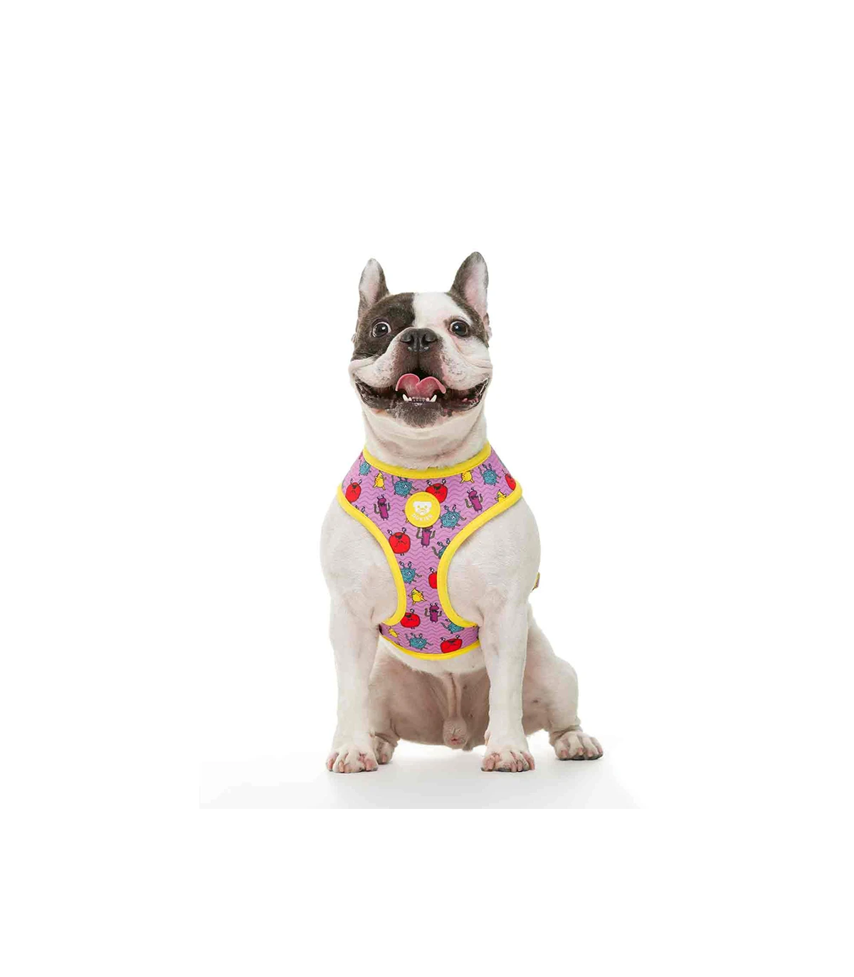 Harnais Réversible Microbes Dukier 5 Harnais Réversible Microbes Dukier – Image 5