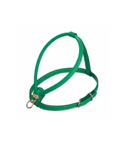 Harnais Rond En Cuir Vert Camon