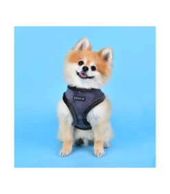 HB1661 Harnais Veste Fourré Façon Peau Peche Black Puppia 9 HB1661 Harnais Veste Fourré Façon Peau Peche Black Puppia -Animaux Amour Promos Boutique hb1661 harnais veste fourre facon peau peche black puppia 4