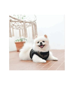 HB1766 Colonel Harness Camo Puppia 7 HB1766 Colonel Harness Camo Puppia -Animaux Amour Promos Boutique hb1766 colonel harness camo puppia 3