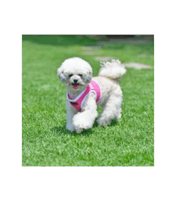 HB1770 Harnais Veste Respirante Bicolore Pink Puppia 8 HB1770 Harnais Veste Respirante Bicolore Pink Puppia -Animaux Amour Promos Boutique hb1770 harnais veste respirante bicolore pink puppia 3