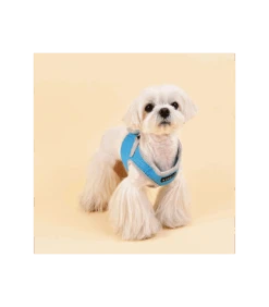 HB1770 Harnais Veste Respirante Bicolore Sky Blue Puppia 8 HB1770 Harnais Veste Respirante Bicolore Sky Blue Puppia -Animaux Amour Promos Boutique hb1770 harnais veste respirante bicolore sky blue puppia 3