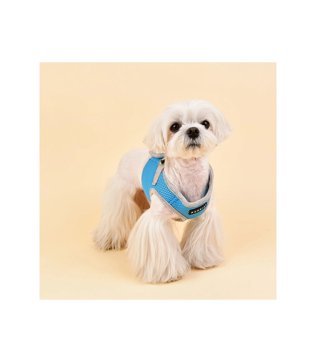 HB1770 Harnais Veste Respirante Bicolore Sky Blue Puppia 4 HB1770 Harnais Veste Respirante Bicolore Sky Blue Puppia – Image 4