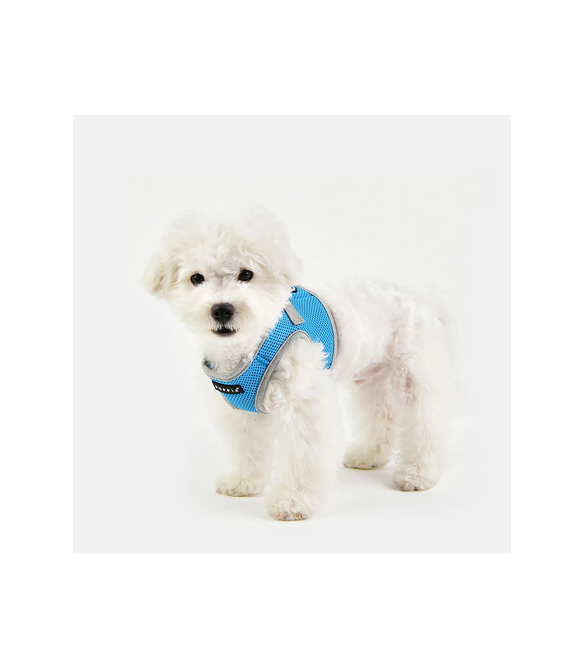 HB1770 Harnais Veste Respirante Bicolore Sky Blue Puppia 5 HB1770 Harnais Veste Respirante Bicolore Sky Blue Puppia – Image 5