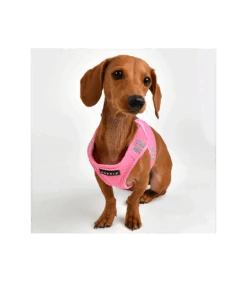 HB1828 Harnais Veste Sport Rose Puppia -Animaux Amour Promos Boutique hb1828 harnais veste sport rose puppia 3