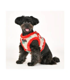 HB1925 Harnais Veste Fourré En Maille Et Cerise Red Cheryl Puppia -Animaux Amour Promos Boutique hb1925 harnais veste fourre en maille et cerise red cheryl puppia 6