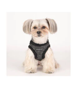 HB1933 Harnais Veste Fourré Motif Fleur Black Hepatica Puppia 15 HB1933 Harnais Veste Fourré Motif Fleur Black Hepatica Puppia -Animaux Amour Promos Boutique hb1933 harnais veste fourre motif fleur black hepatica puppia 6