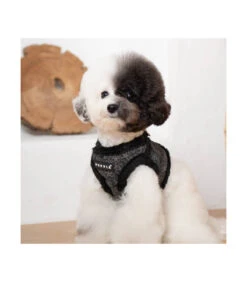 HB1933 Harnais Veste Fourré Motif Fleur Black Hepatica Puppia 17 HB1933 Harnais Veste Fourré Motif Fleur Black Hepatica Puppia -Animaux Amour Promos Boutique hb1933 harnais veste fourre motif fleur black hepatica puppia 8