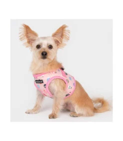 HB1957 Harnais Veste Motif Coccinelle Rose Lady Beetle Puppia -Animaux Amour Promos Boutique hb1957 harnais veste motif coccinelle rose lady beetle puppia 4