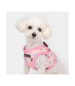 HB1957 Harnais Veste Motif Coccinelle Rose Lady Beetle Puppia -Animaux Amour Promos Boutique hb1957 harnais veste motif coccinelle rose lady beetle puppia 5