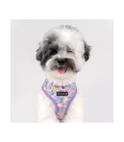 HB1959 Harnais Veste Motif Fleuri Mauve Lita Puppia -Animaux Amour Promos Boutique hb1959 harnais veste motif fleuri mauve lita puppia 6