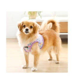 HB1959 Harnais Veste Motif Fleuri Mauve Lita Puppia -Animaux Amour Promos Boutique hb1959 harnais veste motif fleuri mauve lita puppia 7