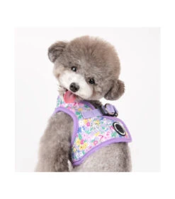 HB1959 Harnais Veste Motif Fleuri Mauve Lita Puppia -Animaux Amour Promos Boutique hb1959 harnais veste motif fleuri mauve lita puppia 8
