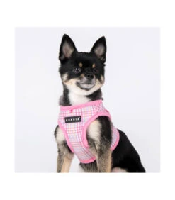 HB1965 Harnais Veste À Carreaux Rose Luke Puppia -Animaux Amour Promos Boutique hb1965 harnais veste a carreaux rose luke puppia 7