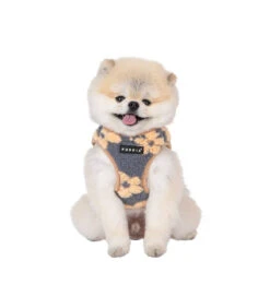 HB1975 Harnais Veste Doudou Façon Mouton Imprimé Fleurs Grises Et Beige Ren Puppia -Animaux Amour Promos Boutique hb1975 harnais veste doudou facon mouton imprime fleurs grises et beige ren puppia 8