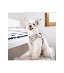 HB7645 Harnais Veste Fourré Aconite Gris Pinkaholic -Animaux Amour Promos Boutique hb7645 harnais veste fourre aconite gris pinkaholic 3