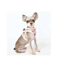 HB7645 Harnais Veste Fourré Aconite Rose Pinkaholic 11 HB7645 Harnais Veste Fourré Aconite Rose Pinkaholic -Animaux Amour Promos Boutique hb7645 harnais veste fourre aconite rose pinkaholic 4