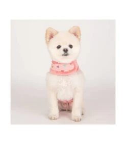 HJ7672 Harnais Veste Fourré En Tissu Coeur Merry Rose Pinkaholic -Animaux Amour Promos Boutique hb7672 harnais veste en tissu coeur merry rose pinkaholic 6