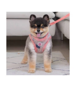 HB7723 Harnais Fourré En Lainage Rose Freesia Pinkaholic -Animaux Amour Promos Boutique hb7723 harnais fourre en lainage rose freesia pinkaholic 4