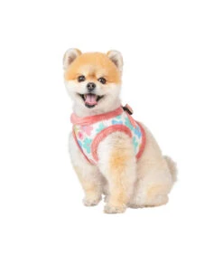 HB7731 Harnais Fourré Imprimé Année 70 Rose Heather Pinkaholic -Animaux Amour Promos Boutique hb7731 harnais fourre imprime annee 70 rose heather pinkaholic 3