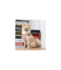 HC7322 Harnais C Pinkaholic Chic Pink -Animaux Amour Promos Boutique hc7322 harnais c pinkaholic chic pink 2