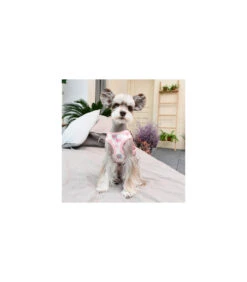 HC7402 Harnais Lapine Pinkaholic Ivory -Animaux Amour Promos Boutique hc7402 harnais lapine pinkaholic ivory 3