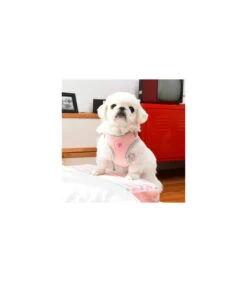 HC7403 Harnais Lalo Pinkaholic Pink 8 HC7403 Harnais Lalo Pinkaholic Pink -Animaux Amour Promos Boutique hc7403 harnais lalo pinkaholic pink 3