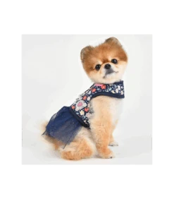 HD7631 Harnais Veste Crocus Navy Pinkaholic