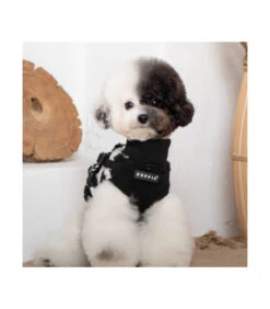 HJ1930 Harnais Pull 2 En 1 Léopard Black Serval Puppia -Animaux Amour Promos Boutique hj1930 harnais pull 2 en 1 leopard black serval puppia 4