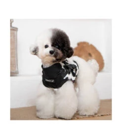 HJ1930 Harnais Pull 2 En 1 Léopard Black Serval Puppia -Animaux Amour Promos Boutique hj1930 harnais pull 2 en 1 leopard black serval puppia 5