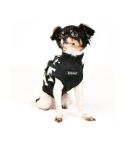 HJ1930 Harnais Pull 2 En 1 Léopard Black Serval Puppia -Animaux Amour Promos Boutique hj1930 harnais pull 2 en 1 leopard black serval puppia 7