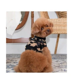 HJ1930 Harnais Pull 2 En 1 Léopard Beige Serval Puppia -Animaux Amour Promos Boutique hj1930 harnais pull leopard beige puppia 1 3